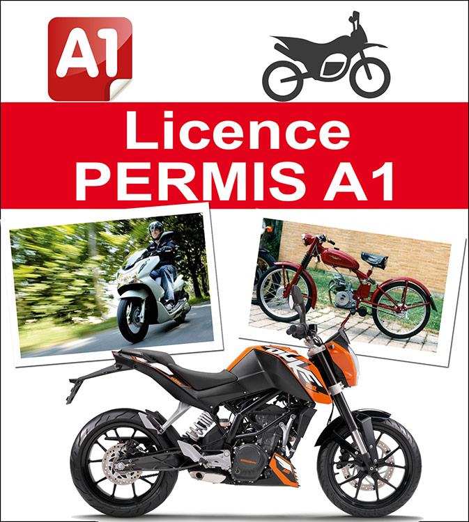 permis-a11.jpg